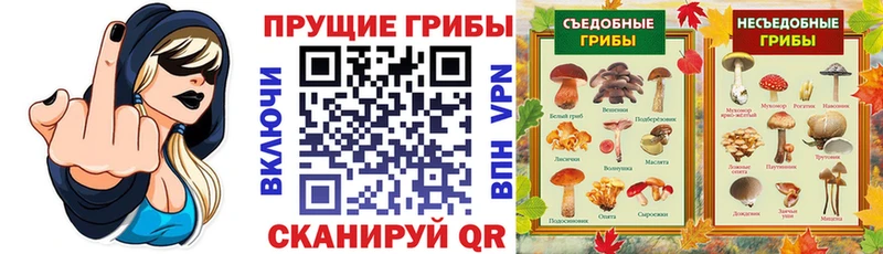 Галлюциногенные грибы мицелий  сколько стоит  Старый Крым 